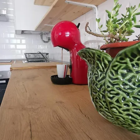 Tiny House Dystrykt Faro